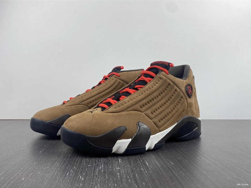 14 Winterized DO9406-200 Air Jordan 0205